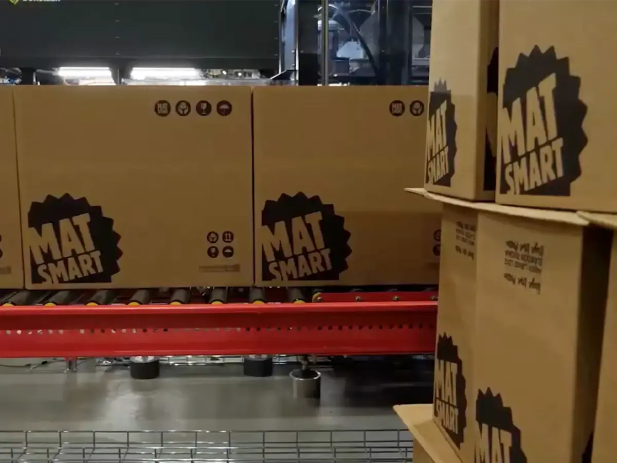 Matsmart_Motatos_04
